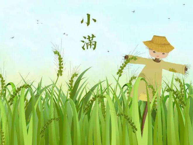 1652771216743158.jpeg 8b2dbadf35c430e389903f85448105f3.jpeg