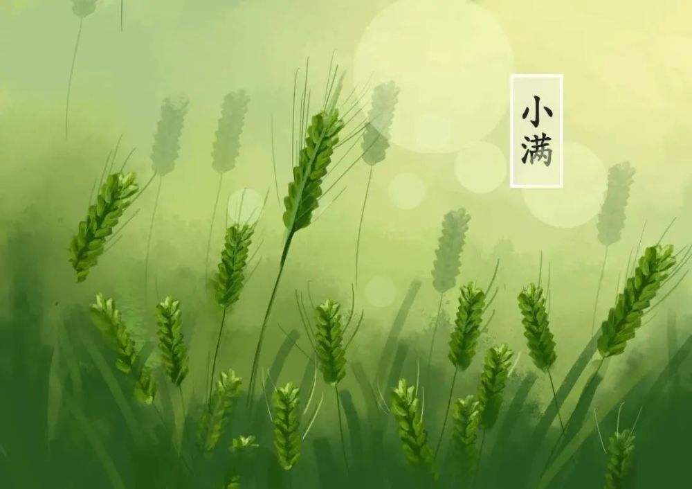 1652771239778487.jpeg fb367ac41b2f1f44c8ed00e00dc52634.jpeg