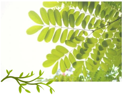 1655712524441247.png 1655712524441247.png