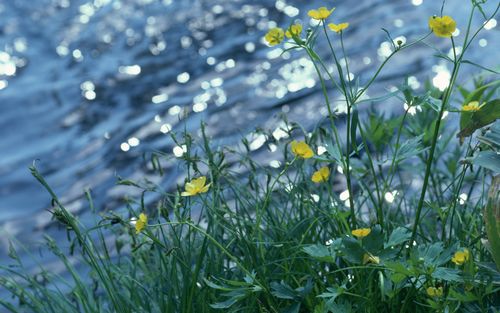 1677550183534540.jpeg 8af054b5627f3268338920f1289ce51a.jpeg